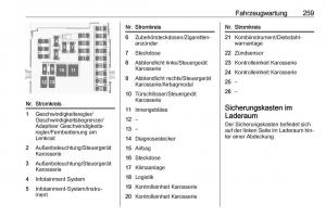 Opel-Zafira-C-Tourer-Handbuch page 261 min