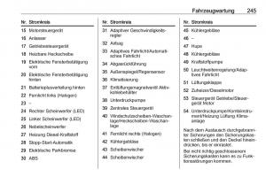 Opel-Zafira-C-FL-Handbuch page 247 min