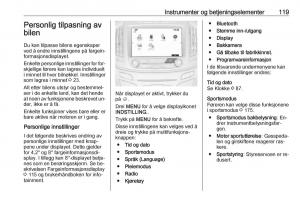 Opel-Insignia-A-bruksanvisningen page 121 min