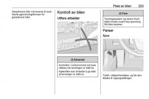 Opel-Insignia-A-bruksanvisningen page 225 min