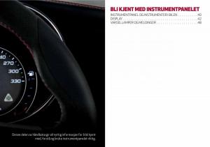 Alfa-Romeo-Giulia-bruksanvisningen page 41 min