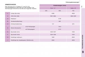 Peugeot-Partner-II-2-Handbuch page 165 min