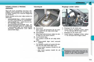 Peugeot-207-instruktionsbok page 109 min