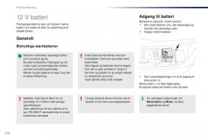 Peugeot-Traveller-Bilens-instruktionsbog page 318 min