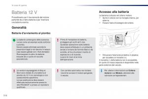 Peugeot-Traveller-manuale-del-proprietario page 318 min