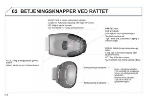 manual--Peugeot-5008-Bilens-instruktionsbog page 318 min