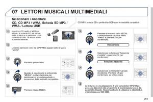 manual--Peugeot-5008-manuale-del-proprietario page 295 min