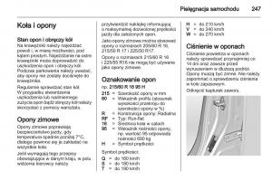 Chevrolet-Cruze-instrukcja-obslugi page 247 min