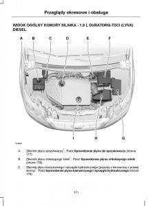 Ford-C-Max-I-1-instrukcja-obslugi page 173 min