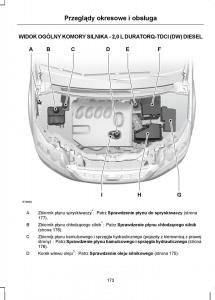 Ford-C-Max-I-1-instrukcja-obslugi page 175 min