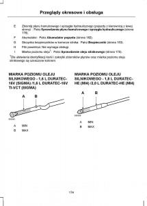 Ford-C-Max-I-1-instrukcja-obslugi page 176 min