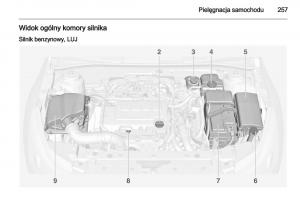 Chevrolet-Orlando-instrukcja-obslugi page 259 min