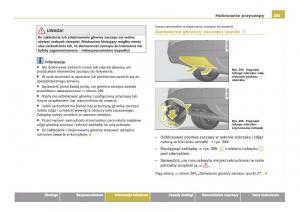 Audi-Q7-I-1-instrukcja-obslugi page 291 min