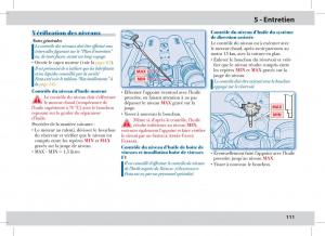 Ferrari-430-Spider-manuel-du-proprietaire page 111 min