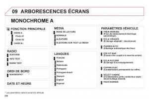 Citroen-C4-II-2-manuel-du-proprietaire page 298 min