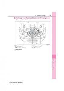 Toyota-C-HR-Handbuch page 731 min