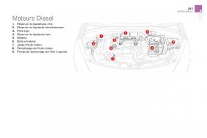 DS3-manuel-du-proprietaire page 249 min