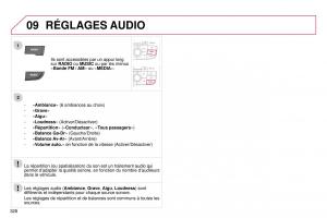 manual--DS4-manuel-du-proprietaire page 300 min