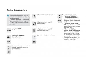 DS5-manuel-du-proprietaire page 296 min