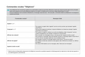 DS5-manuel-du-proprietaire page 412 min