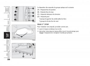 Fiat-Punto-Classic-manuel-du-proprietaire page 221 min