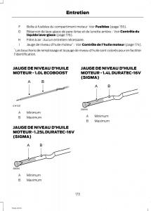 Ford-Fiesta-VII-MK7-manuel-du-proprietaire page 175 min