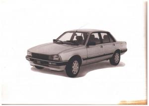 Peugeot-505-manuel-du-proprietaire page 142 min