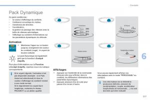 Peugeot-3008-FL2-manuel-du-proprietaire page 219 min