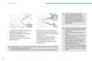 Peugeot-3008-FL2-manuel-du-proprietaire page 316 min