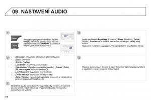 manual--Peugeot-5008-II-2-navod-k-obsludze page 318 min