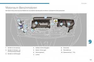 Peugeot-5008-II-2-Handbuch page 199 min