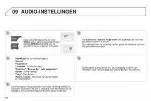 manual--Peugeot-5008-II-2-handleiding page 318 min