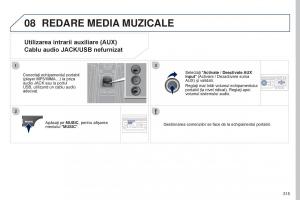 Peugeot-5008-II-2-manualul proprietarului page 317 min
