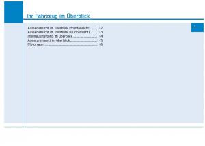 Hyundai-Ioniq-Electric-Handbuch page 75 min