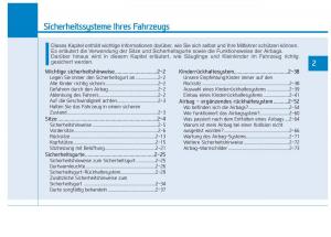 Hyundai-Ioniq-Electric-Handbuch page 81 min