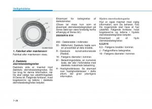 Hyundai-Ioniq-Electric-Bilens-instruktionsbog page 489 min