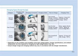 Hyundai-Ioniq-Electric-owners-manual page 20 min