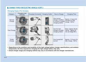 Hyundai-Ioniq-Electric-owners-manual page 21 min