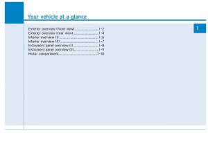 Hyundai-Ioniq-Electric-owners-manual page 89 min