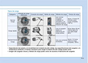 Hyundai-Ioniq-Electric-manual-del-propietario page 20 min