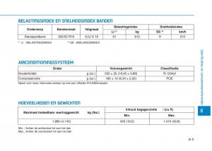 Hyundai-Ioniq-Electric-handleiding page 553 min