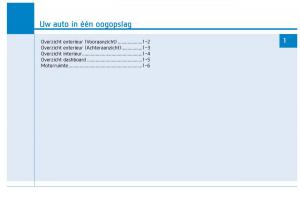 Hyundai-Ioniq-Electric-handleiding page 71 min