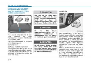 Hyundai-Ioniq-Electric-bruksanvisningen page 435 min