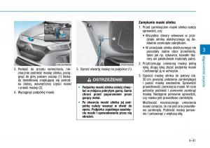 Hyundai-Ioniq-Electric-instrukcja-obslugi page 173 min