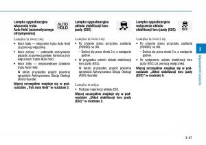 Hyundai-Ioniq-Electric-instrukcja-obslugi page 189 min