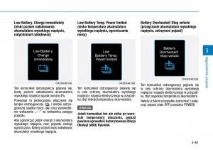 Hyundai-Ioniq-Electric-instrukcja-obslugi page 203 min