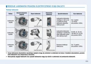 Hyundai-Ioniq-Electric-instrukcja-obslugi page 21 min