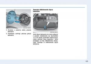 Hyundai-Ioniq-Electric-instrukcja-obslugi page 33 min