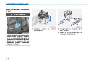 Hyundai-Ioniq-Electric-instrukcja-obslugi page 430 min