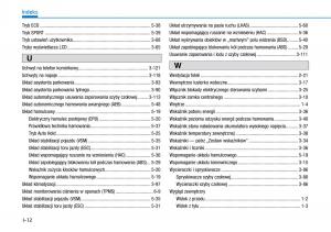 Hyundai-Ioniq-Electric-instrukcja-obslugi page 529 min